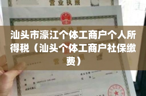 汕头市濠江个体工商户个人所得税（汕头个体工商户社保缴费）