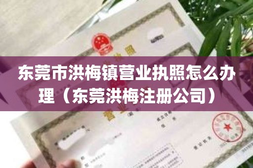 东莞市洪梅镇营业执照怎么办理（东莞洪梅注册公司）