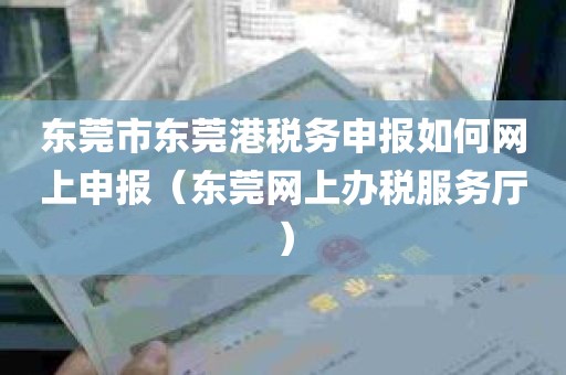 东莞市东莞港税务申报如何网上申报（东莞网上办税服务厅）