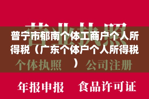 普宁市郁南个体工商户个人所得税（广东个体户个人所得税）