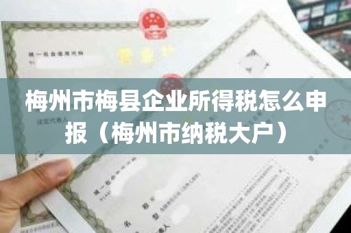 梅州市梅县企业所得税怎么申报（梅州市纳税大户）