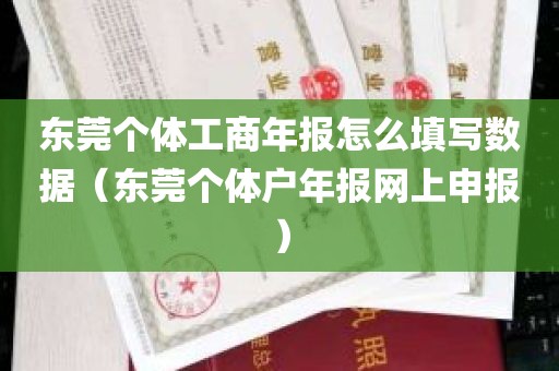 东莞个体工商年报怎么填写数据（东莞个体户年报网上申报）