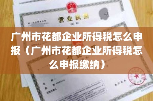 广州市花都企业所得税怎么申报（广州市花都企业所得税怎么申报缴纳）