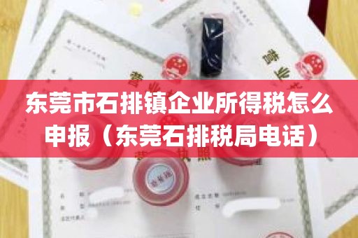 东莞市石排镇企业所得税怎么申报（东莞石排税局电话）