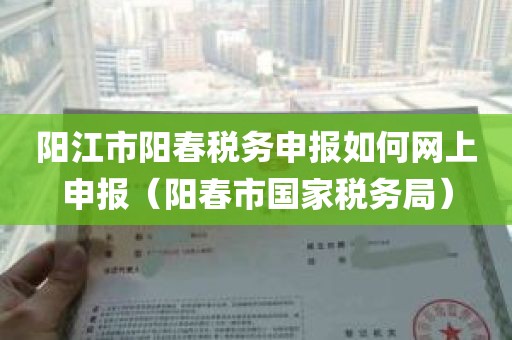 阳江市阳春税务申报如何网上申报（阳春市国家税务局）