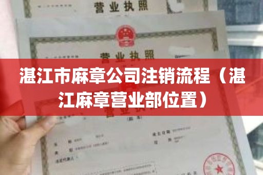 湛江市麻章公司注销流程（湛江麻章营业部位置）