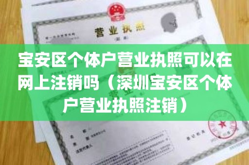 宝安区个体户营业执照可以在网上注销吗（深圳宝安区个体户营业执照注销）