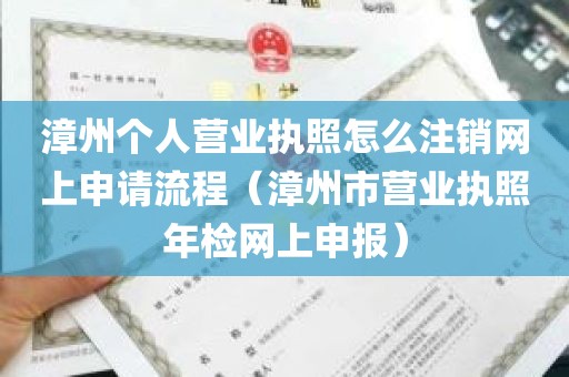 漳州个人营业执照怎么注销网上申请流程（漳州市营业执照年检网上申报）