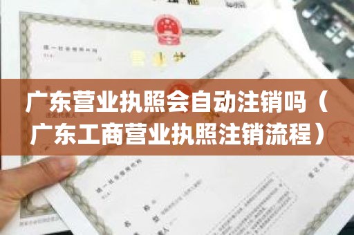 广东营业执照会自动注销吗（广东工商营业执照注销流程）