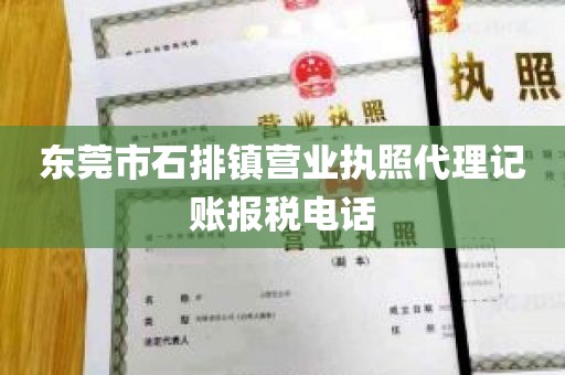 东莞市石排镇营业执照代理记账报税电话