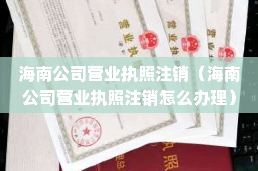 海南公司营业执照注销（海南公司营业执照注销怎么办理）