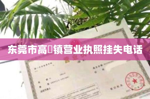 东莞市高埗镇营业执照挂失电话