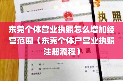 东莞个体营业执照怎么增加经营范围（东莞个体户营业执照注册流程）