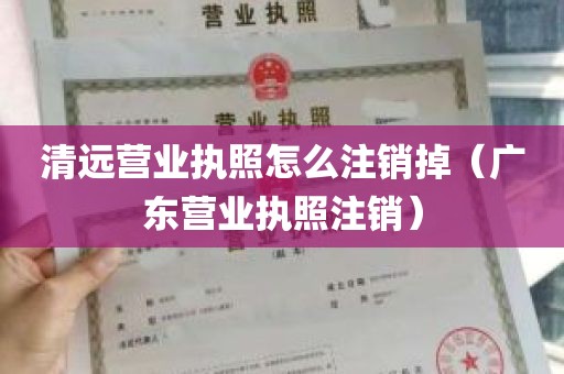 清远营业执照怎么注销掉（广东营业执照注销）