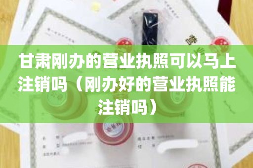 甘肃刚办的营业执照可以马上注销吗（刚办好的营业执照能注销吗）