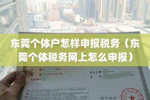 东莞个体户怎样申报税务（东莞个体税务网上怎么申报）