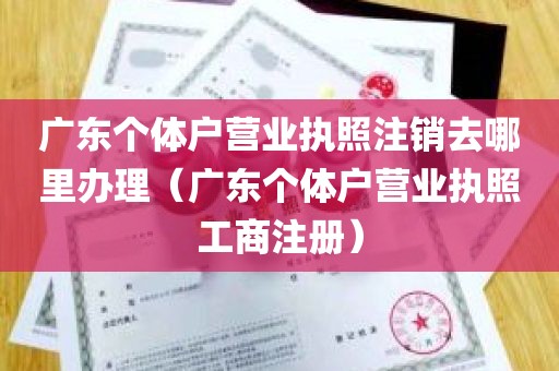 广东个体户营业执照注销去哪里办理（广东个体户营业执照工商注册）