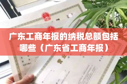 广东工商年报的纳税总额包括哪些(广东省工商年报)