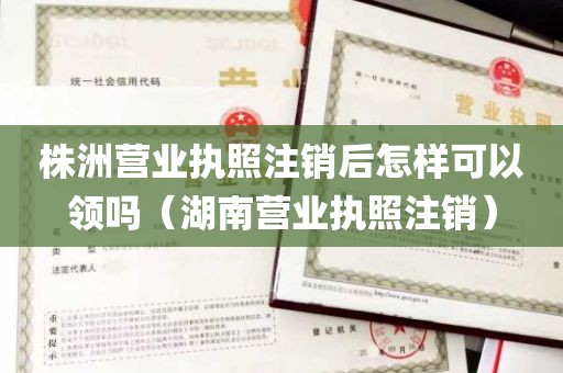 株洲营业执照注销后怎样可以领吗（湖南营业执照注销）