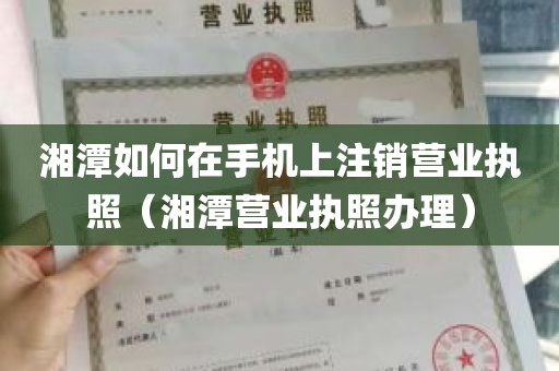 湘潭如何在手机上注销营业执照（湘潭营业执照办理）