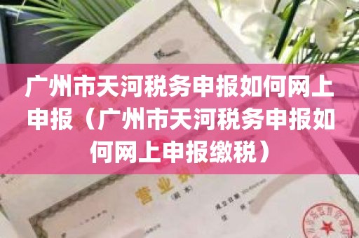 广州市天河税务申报如何网上申报（广州市天河税务申报如何网上申报缴税）