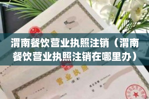 渭南餐饮营业执照注销（渭南餐饮营业执照注销在哪里办）