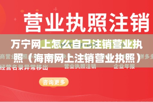 万宁网上怎么自己注销营业执照（海南网上注销营业执照）