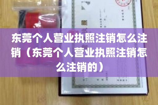 东莞个人营业执照注销怎么注销（东莞个人营业执照注销怎么注销的）