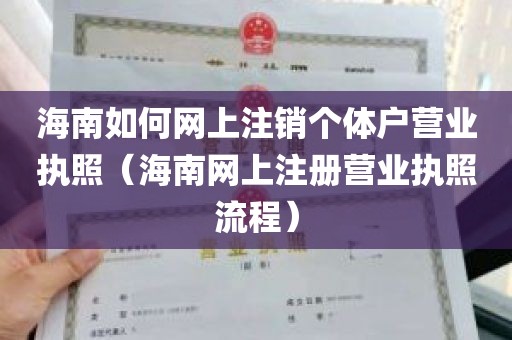 海南如何网上注销个体户营业执照（海南网上注册营业执照流程）