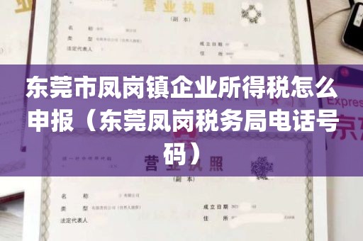东莞市凤岗镇企业所得税怎么申报（东莞凤岗税务局电话号码）