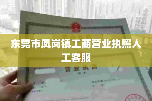 东莞市凤岗镇工商营业执照人工客服