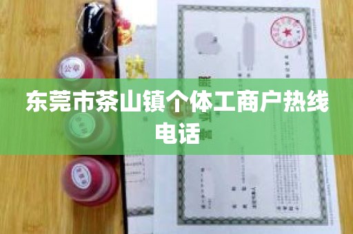 东莞市茶山镇个体工商户热线电话