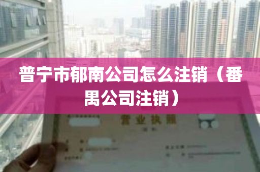 普宁市郁南公司怎么注销（番禺公司注销）