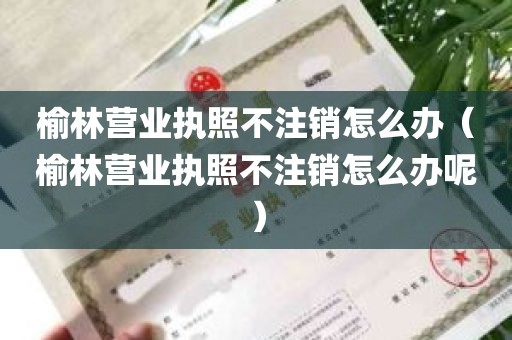 榆林营业执照不注销怎么办（榆林营业执照不注销怎么办呢）