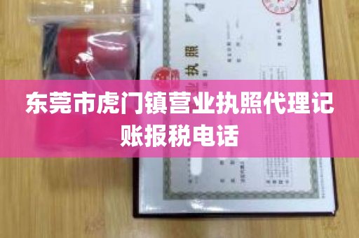 东莞市虎门镇营业执照代理记账报税电话