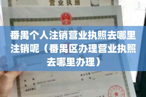 番禺个人注销营业执照去哪里注销呢（番禺区办理营业执照去哪里办理）
