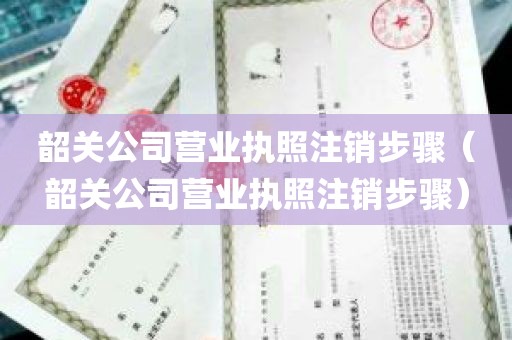 韶关公司营业执照注销步骤（韶关公司营业执照注销步骤）