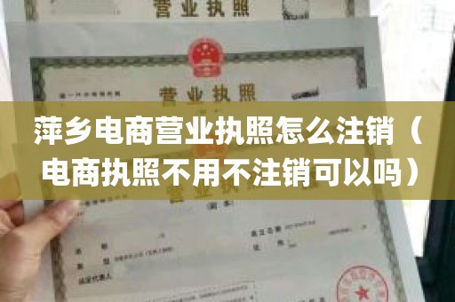 萍乡电商营业执照怎么注销（电商执照不用不注销可以吗）