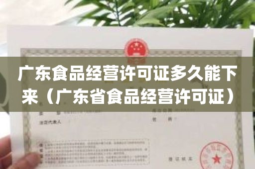 广东食品经营许可证多久能下来（广东省食品经营许可证）