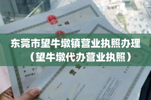东莞市望牛墩镇营业执照办理（望牛墩代办营业执照）