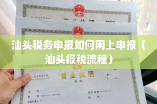 汕头税务申报如何网上申报（汕头报税流程）