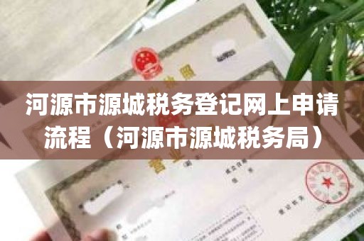 河源市源城税务登记网上申请流程（河源市源城税务局）