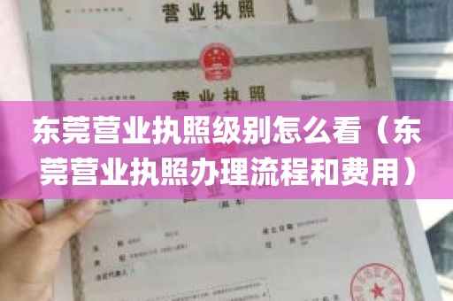 东莞营业执照级别怎么看（东莞营业执照办理流程和费用）