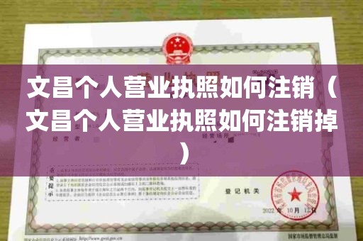 文昌个人营业执照如何注销（文昌个人营业执照如何注销掉）