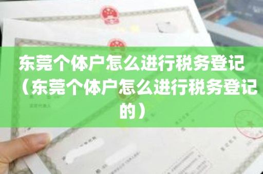 东莞个体户怎么进行税务登记（东莞个体户怎么进行税务登记的）