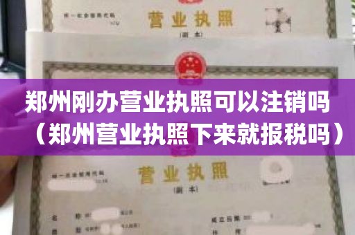 郑州刚办营业执照可以注销吗（郑州营业执照下来就报税吗）