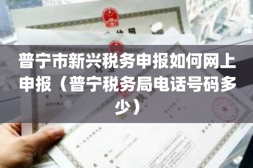 普宁市新兴税务申报如何网上申报（普宁税务局电话号码多少）