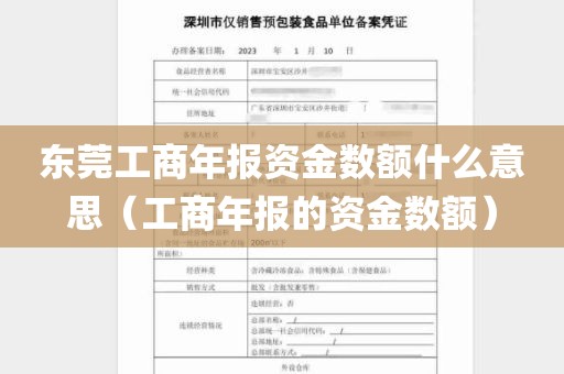 东莞工商年报资金数额什么意思（工商年报的资金数额）