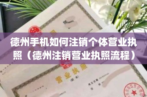 德州手机如何注销个体营业执照（德州注销营业执照流程）