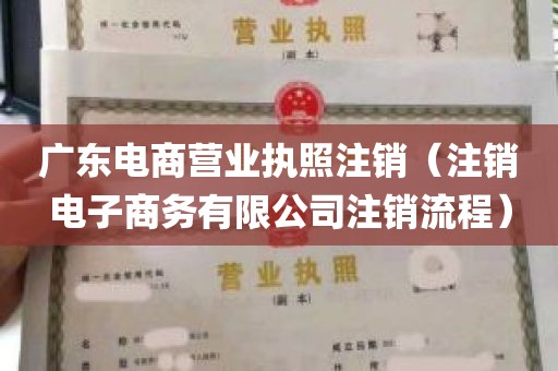 广东电商营业执照注销（注销电子商务有限公司注销流程）